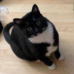 Meet your Posher, Jamie